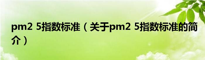 pm2 5指數(shù)標(biāo)準(zhǔn)（關(guān)于pm2 5指數(shù)標(biāo)準(zhǔn)的簡介）