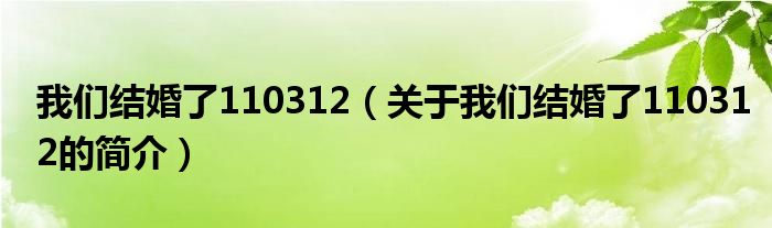 我們結(jié)婚了110312（關(guān)于我們結(jié)婚了110312的簡介）