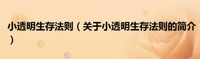 小透明生存法則（關(guān)于小透明生存法則的簡(jiǎn)介）