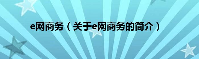 e網(wǎng)商務(wù)（關(guān)于e網(wǎng)商務(wù)的簡介）