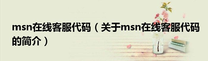 msn在線客服代碼（關(guān)于msn在線客服代碼的簡介）