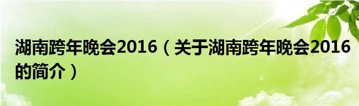 湖南跨年晚會2016（關(guān)于湖南跨年晚會2016的簡介）