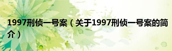 1997刑偵一號(hào)案（關(guān)于1997刑偵一號(hào)案的簡介）