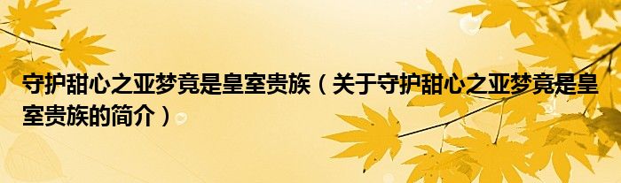 守護(hù)甜心之亞夢竟是皇室貴族（關(guān)于守護(hù)甜心之亞夢竟是皇室貴族的簡介）