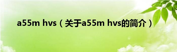 a55m hvs（關(guān)于a55m hvs的簡(jiǎn)介）