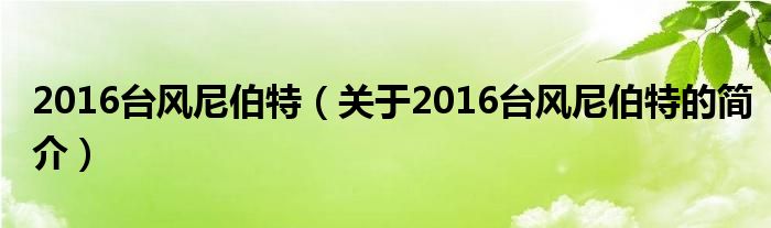 2016臺(tái)風(fēng)尼伯特（關(guān)于2016臺(tái)風(fēng)尼伯特的簡(jiǎn)介）