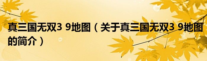 真三國(guó)無雙3 9地圖（關(guān)于真三國(guó)無雙3 9地圖的簡(jiǎn)介）