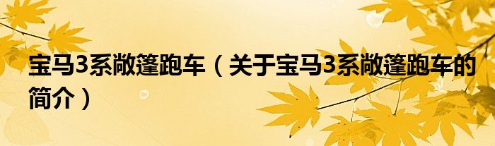 寶馬3系敞篷跑車（關(guān)于寶馬3系敞篷跑車的簡介）