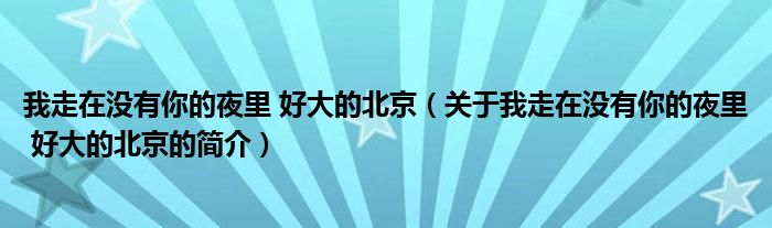 我走在沒有你的夜里 好大的北京（關(guān)于我走在沒有你的夜里 好大的北京的簡介）