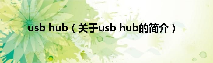 usb hub（關(guān)于usb hub的簡介）