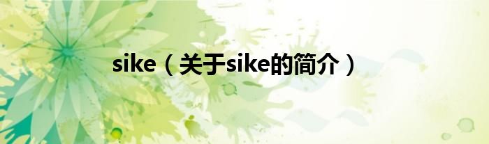 sike（關于sike的簡介）