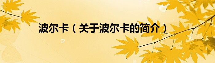 波爾卡（關(guān)于波爾卡的簡(jiǎn)介）