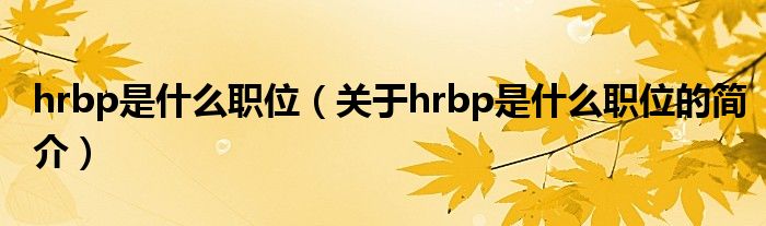 hrbp是什么職位（關(guān)于hrbp是什么職位的簡介）