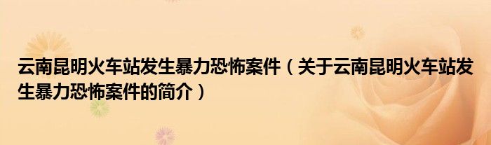 云南昆明火車站發(fā)生暴力恐怖案件（關(guān)于云南昆明火車站發(fā)生暴力恐怖案件的簡介）