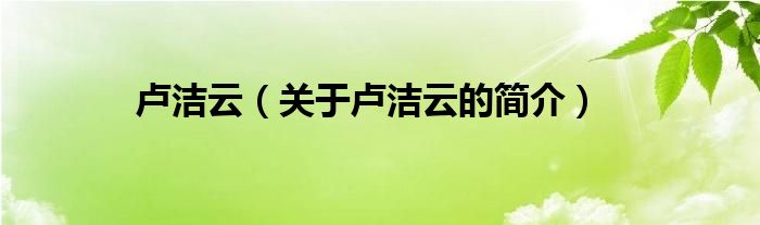 盧潔云（關(guān)于盧潔云的簡(jiǎn)介）