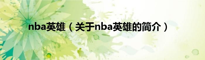 nba英雄（關于nba英雄的簡介）