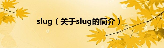 slug（關(guān)于slug的簡(jiǎn)介）