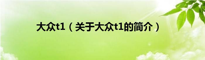 大眾t1（關(guān)于大眾t1的簡介）