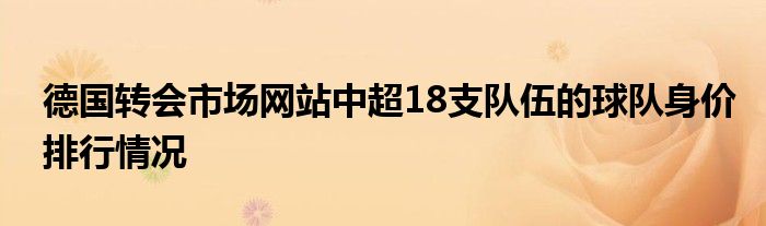 德國轉(zhuǎn)會(huì)市場網(wǎng)站中超18支隊(duì)伍的球隊(duì)身價(jià)排行情況