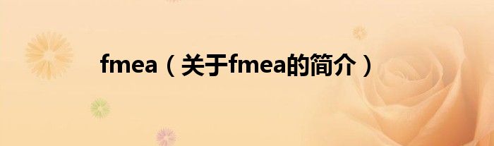 fmea（關(guān)于fmea的簡介）