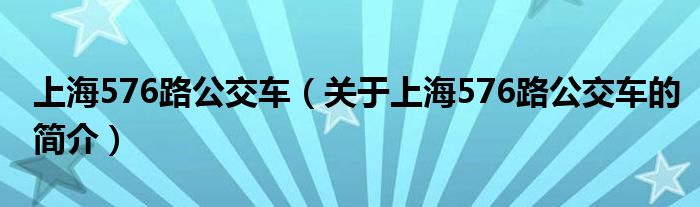 上海576路公交車（關(guān)于上海576路公交車的簡介）