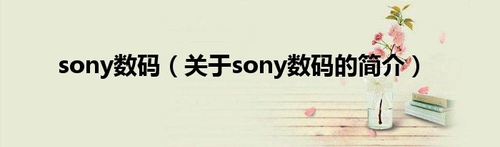 sony數(shù)碼（關于sony數(shù)碼的簡介）