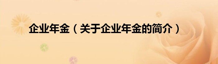 企業(yè)年金（關于企業(yè)年金的簡介）