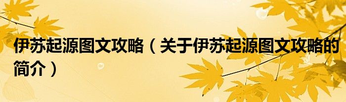 伊蘇起源圖文攻略（關(guān)于伊蘇起源圖文攻略的簡(jiǎn)介）