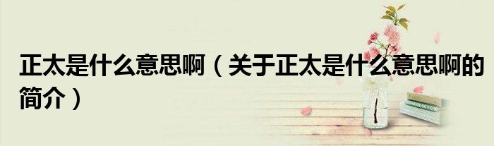 正太是什么意思?。P(guān)于正太是什么意思啊的簡(jiǎn)介）