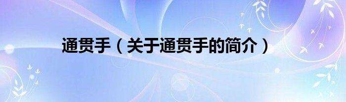 通貫手（關于通貫手的簡介）