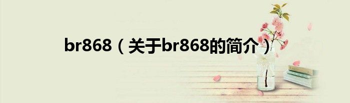 br868（關(guān)于br868的簡(jiǎn)介）