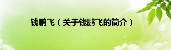 錢(qián)鵬飛（關(guān)于錢(qián)鵬飛的簡(jiǎn)介）