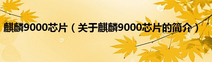 麒麟9000芯片（關(guān)于麒麟9000芯片的簡(jiǎn)介）