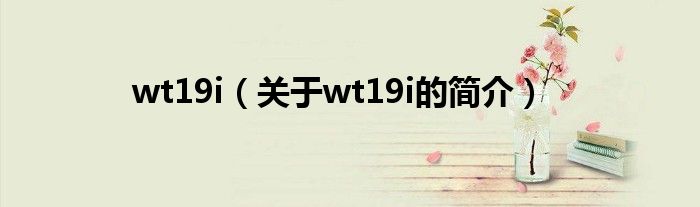 wt19i（關(guān)于wt19i的簡(jiǎn)介）