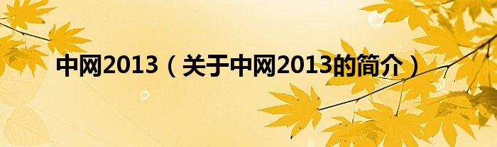 中網(wǎng)2013（關(guān)于中網(wǎng)2013的簡介）