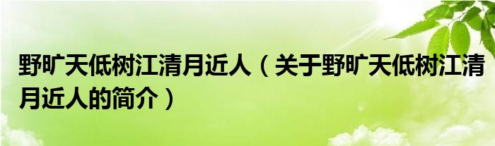 野曠天低樹江清月近人（關(guān)于野曠天低樹江清月近人的簡介）