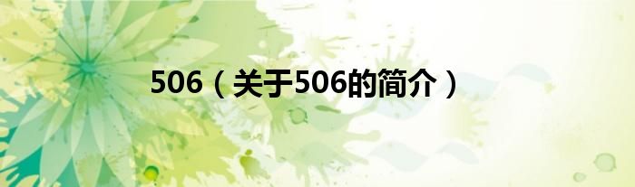 506（關(guān)于506的簡介）