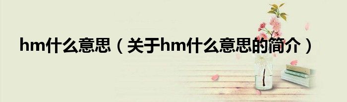 hm什么意思（關(guān)于hm什么意思的簡(jiǎn)介）