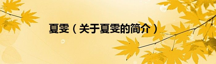 夏雯（關(guān)于夏雯的簡(jiǎn)介）