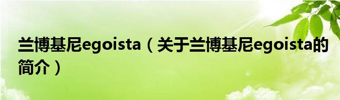 蘭博基尼egoista（關(guān)于蘭博基尼egoista的簡(jiǎn)介）