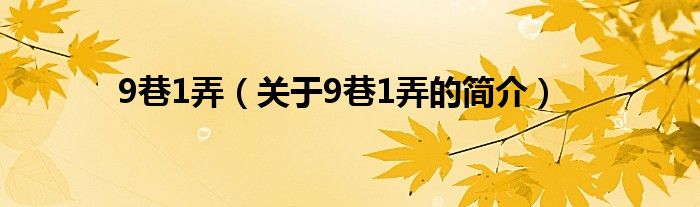 9巷1弄（關于9巷1弄的簡介）