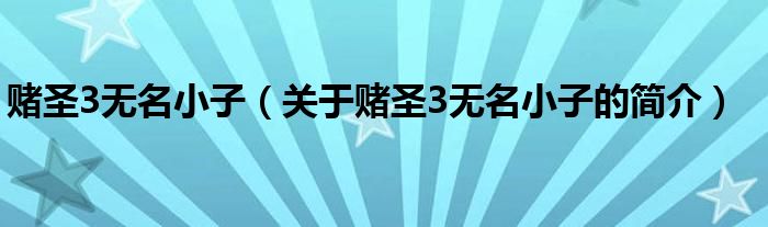 賭圣3無名小子（關(guān)于賭圣3無名小子的簡介）