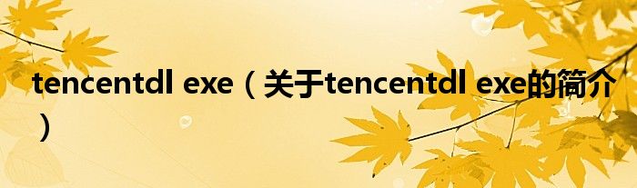 tencentdl exe（關(guān)于tencentdl exe的簡(jiǎn)介）