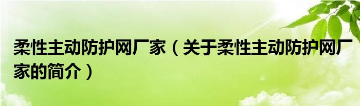 柔性主動(dòng)防護(hù)網(wǎng)廠家（關(guān)于柔性主動(dòng)防護(hù)網(wǎng)廠家的簡介）