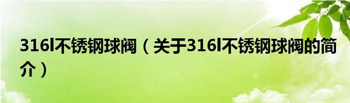 316l不銹鋼球閥（關(guān)于316l不銹鋼球閥的簡(jiǎn)介）