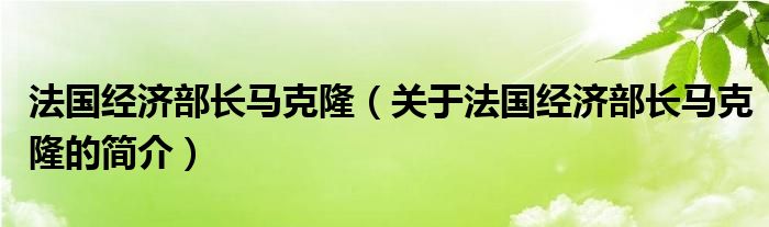 法國經(jīng)濟部長馬克隆（關(guān)于法國經(jīng)濟部長馬克隆的簡介）