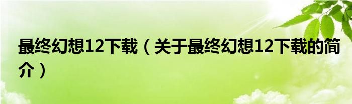 最終幻想12下載（關(guān)于最終幻想12下載的簡介）