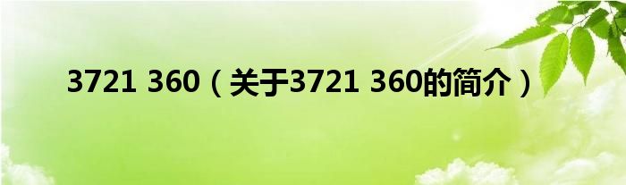 3721 360（關(guān)于3721 360的簡介）