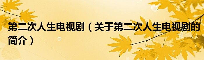 第二次人生電視?。P(guān)于第二次人生電視劇的簡(jiǎn)介）