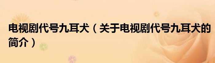 電視劇代號九耳犬（關(guān)于電視劇代號九耳犬的簡介）